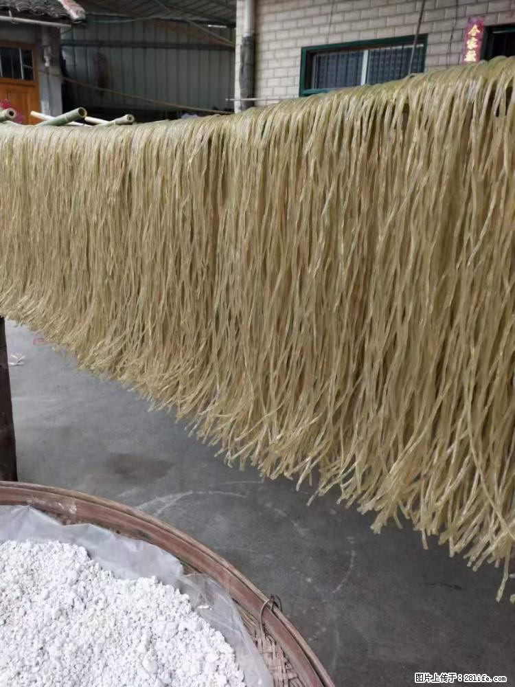 【灌阳正宗红薯粉】美女家里自己做的，干净卫生，假一赔十，价格合理，抢购电话：13737312895 - 美食天地 - 巢湖生活社区 - 巢湖28生活网 ch.28life.net