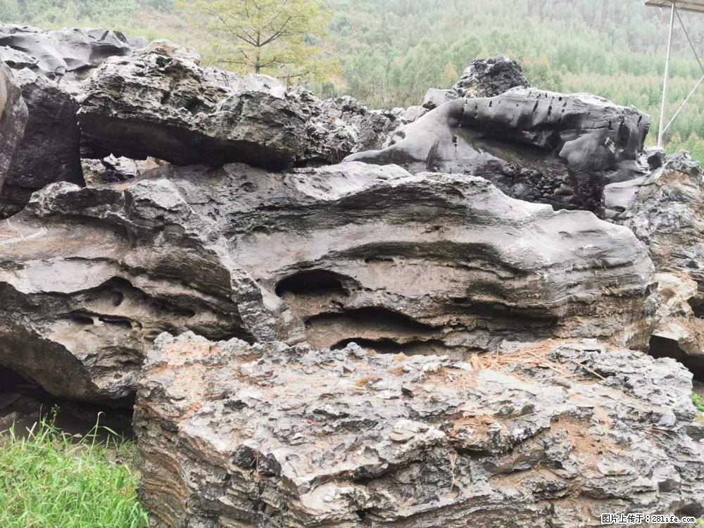 风景石、假山石大量有货，有需要的欢迎联系 - 新手上路 - 巢湖生活社区 - 巢湖28生活网 ch.28life.net