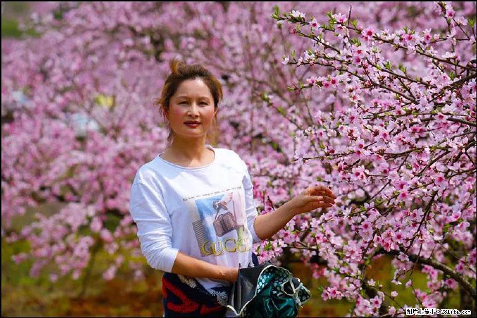 【春天，广西桂林灌阳县向您发出邀请！】官庄村有个醉美的桃花园 - 游山玩水 - 巢湖生活社区 - 巢湖28生活网 ch.28life.net