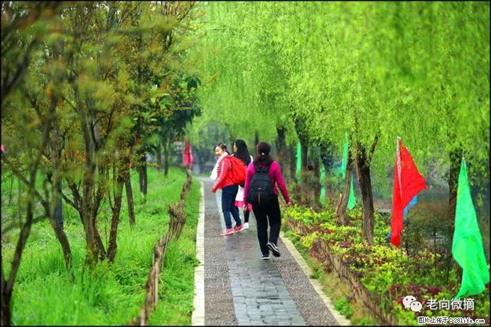 【春天，广西桂林灌阳县向您发出邀请！】江口老街又逢春 - 游山玩水 - 巢湖生活社区 - 巢湖28生活网 ch.28life.net