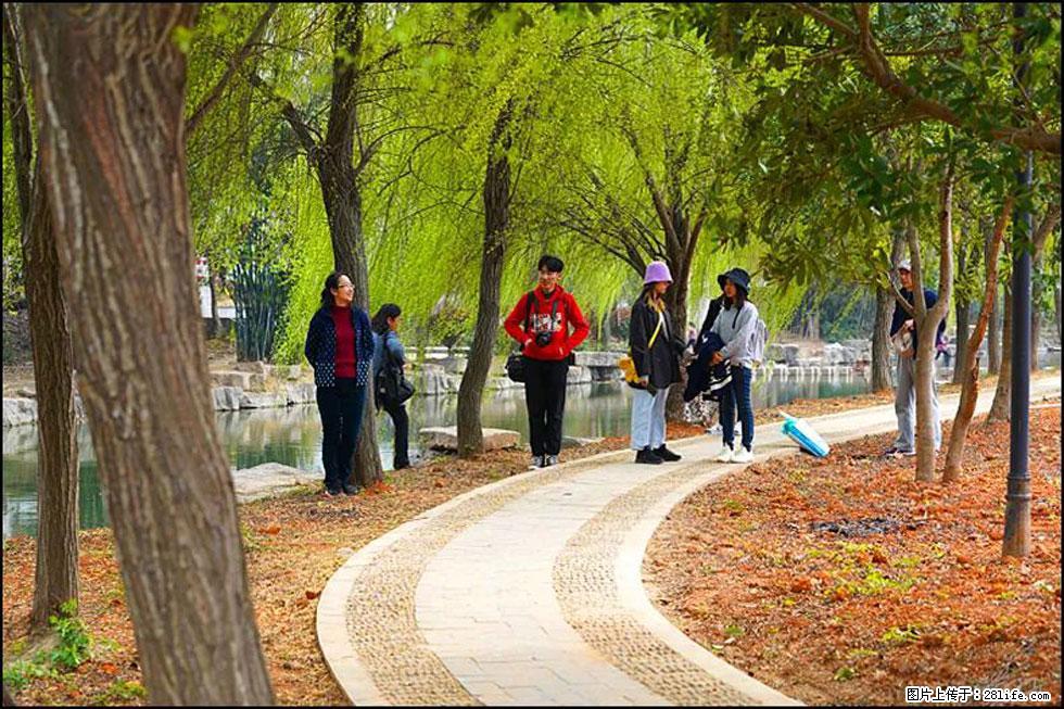 【春天，广西桂林灌阳县向您发出邀请！】江口老街又逢春 - 游山玩水 - 巢湖生活社区 - 巢湖28生活网 ch.28life.net