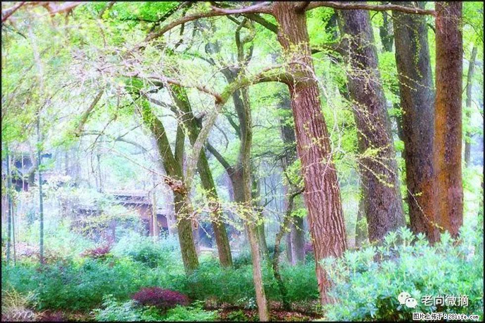 【春天，广西桂林灌阳县向您发出邀请！】在小龙村与春天约会 - 游山玩水 - 巢湖生活社区 - 巢湖28生活网 ch.28life.net