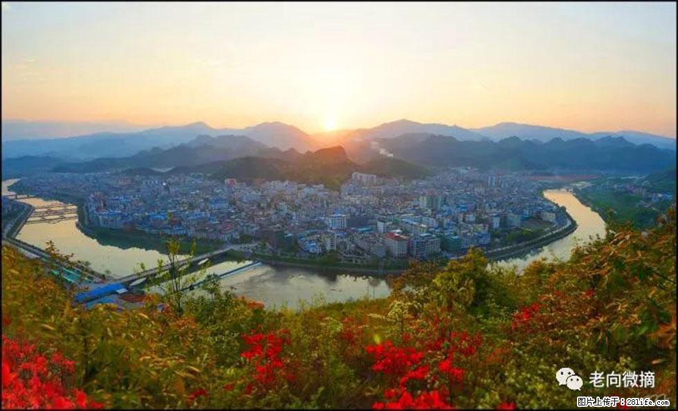 【春天，广西桂林灌阳县向您发出邀请！】登麒麟山，相约映山红 - 游山玩水 - 巢湖生活社区 - 巢湖28生活网 ch.28life.net