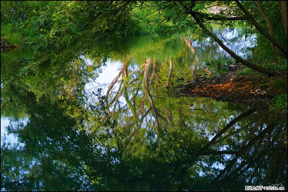 【春天，广西桂林灌阳县向您发出邀请！】熊家寨湿地公园 - 游山玩水 - 巢湖生活社区 - 巢湖28生活网 ch.28life.net