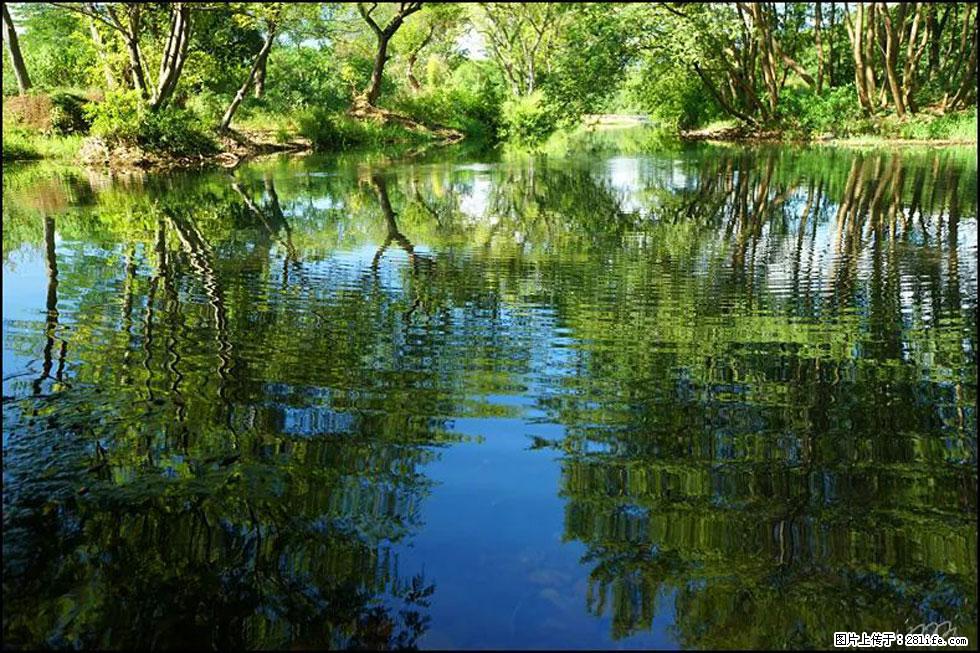 【春天，广西桂林灌阳县向您发出邀请！】熊家寨湿地公园 - 游山玩水 - 巢湖生活社区 - 巢湖28生活网 ch.28life.net