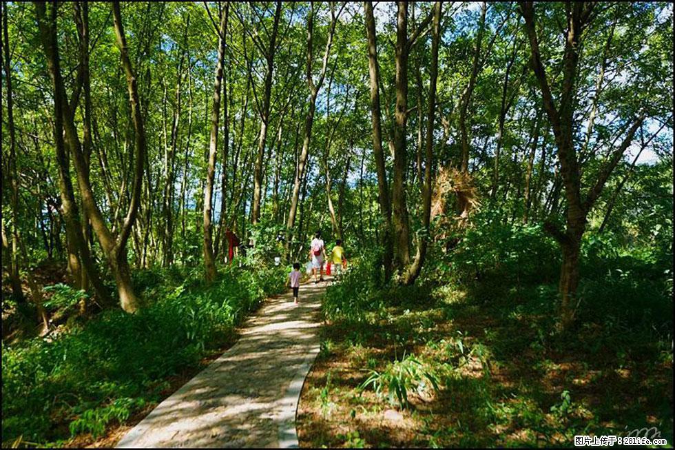 【春天，广西桂林灌阳县向您发出邀请！】熊家寨湿地公园 - 游山玩水 - 巢湖生活社区 - 巢湖28生活网 ch.28life.net