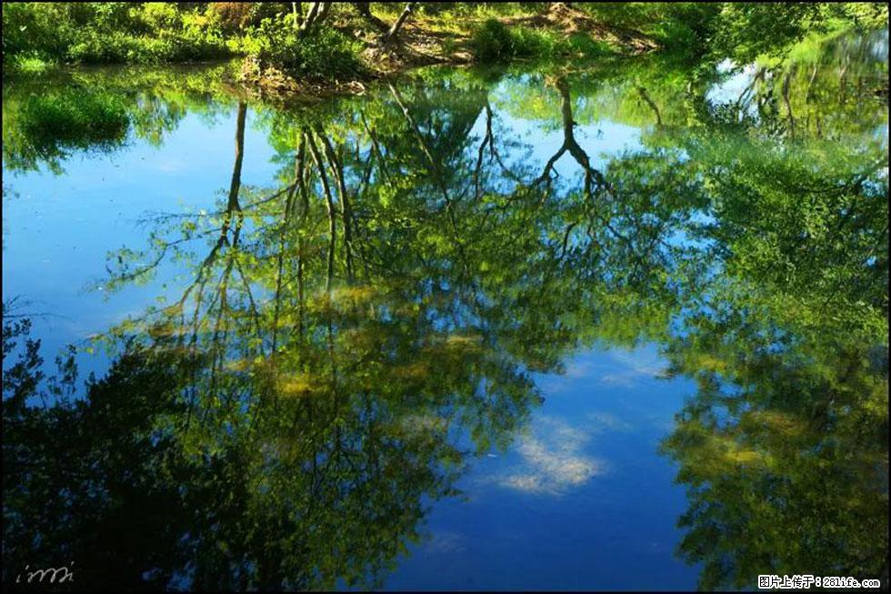 【春天，广西桂林灌阳县向您发出邀请！】熊家寨湿地公园 - 游山玩水 - 巢湖生活社区 - 巢湖28生活网 ch.28life.net