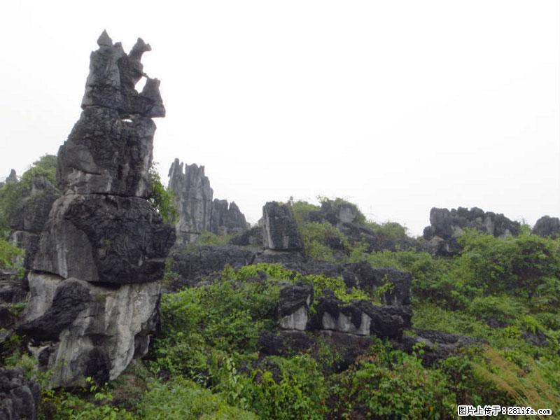 桂林旅游名城景点：灌阳文市石林 - 游山玩水 - 巢湖生活社区 - 巢湖28生活网 ch.28life.net