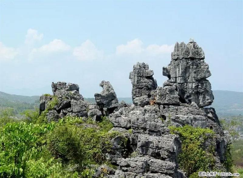 桂林旅游名城景点：灌阳文市石林 - 游山玩水 - 巢湖生活社区 - 巢湖28生活网 ch.28life.net