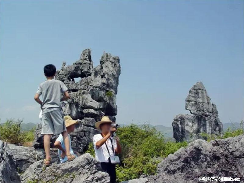 桂林旅游名城景点：灌阳文市石林 - 游山玩水 - 巢湖生活社区 - 巢湖28生活网 ch.28life.net