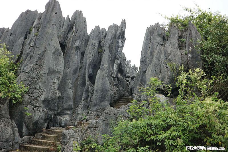 桂林旅游名城景点：灌阳文市石林 - 游山玩水 - 巢湖生活社区 - 巢湖28生活网 ch.28life.net