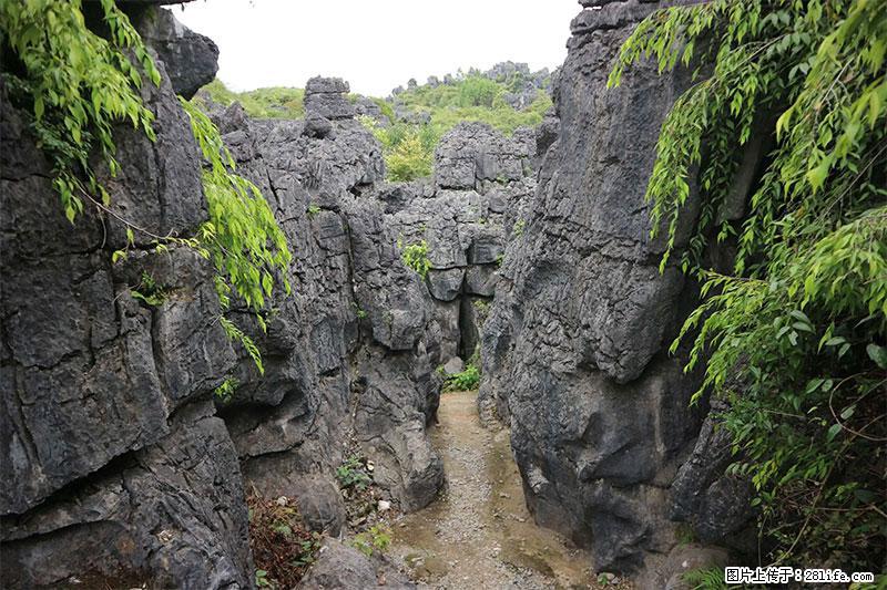 桂林旅游名城景点：灌阳文市石林 - 游山玩水 - 巢湖生活社区 - 巢湖28生活网 ch.28life.net
