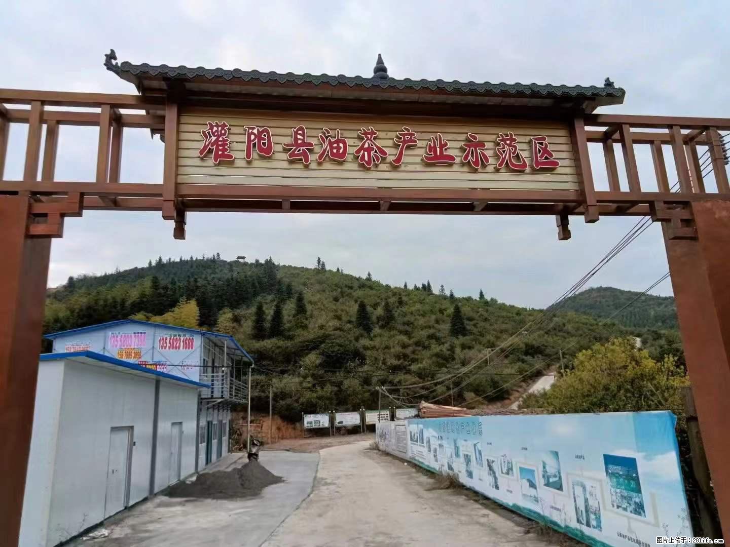 【灌阳县油茶产业示范区】一个有着充实的精神生活的人，对待身外之物自会有一种淡泊的态度 - 土特产 - 饮食特产 - 巢湖分类信息 - 巢湖28生活网 ch.28life.net