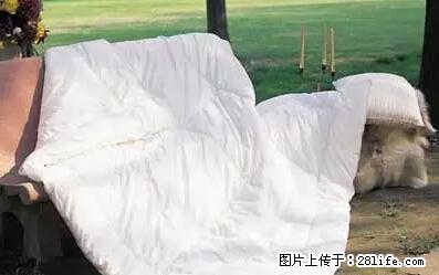 被子有异味？只要这样做，比晒太阳还强100倍！ - 家居生活 - 巢湖生活社区 - 巢湖28生活网 ch.28life.net