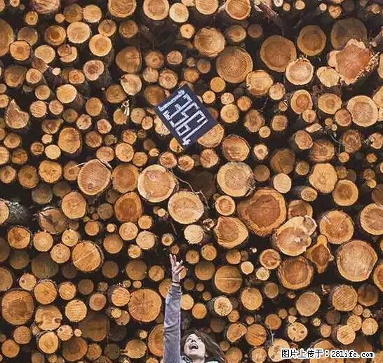 辞掉工作周游世界？现在他们在洗厕所…… - 游山玩水 - 巢湖生活社区 - 巢湖28生活网 ch.28life.net