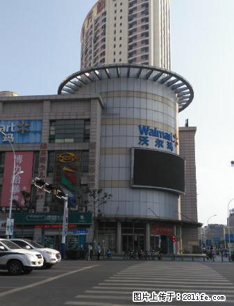 东方新世界精装单身公寓家电齐全1000元 - 房屋出租 - 房屋租售 - 巢湖分类信息 - 巢湖28生活网 ch.28life.net