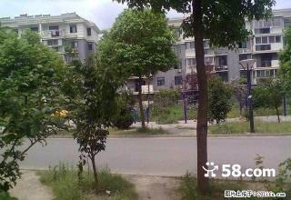 银湖山庄，中装修，拎包入住 - 巢湖28生活网 ch.28life.net