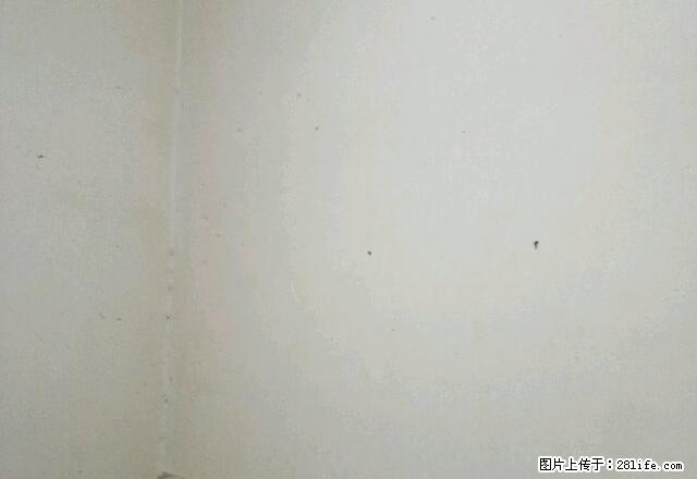 西门菜市金巢花园 1室0厅1卫 - 房屋出租 - 房屋租售 - 巢湖分类信息 - 巢湖28生活网 ch.28life.net