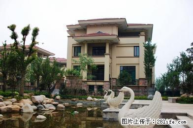 ＜168房产精品房源》半汤玫瑰园精装修三房一楼实施齐全出租 - 房屋出租 - 房屋租售 - 巢湖分类信息 - 巢湖28生活网 ch.28life.net
