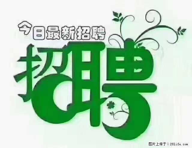 【招聘摄像师】待遇：试用期6000元/月，转正7000元/月+五险一金+餐补+节日福利+奖金 - 其他招聘信息 - 招聘求职 - 巢湖分类信息 - 巢湖28生活网 ch.28life.net