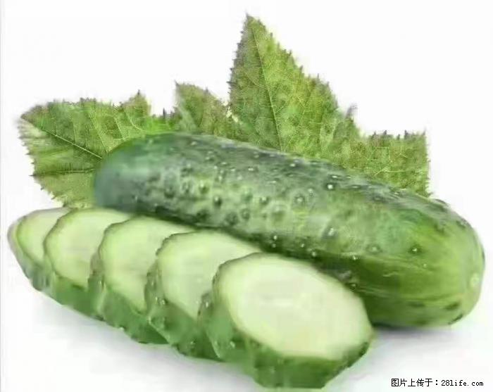 【生活小常识】吃黄瓜的好处 - 生活百科 - 巢湖生活社区 - 巢湖28生活网 ch.28life.net