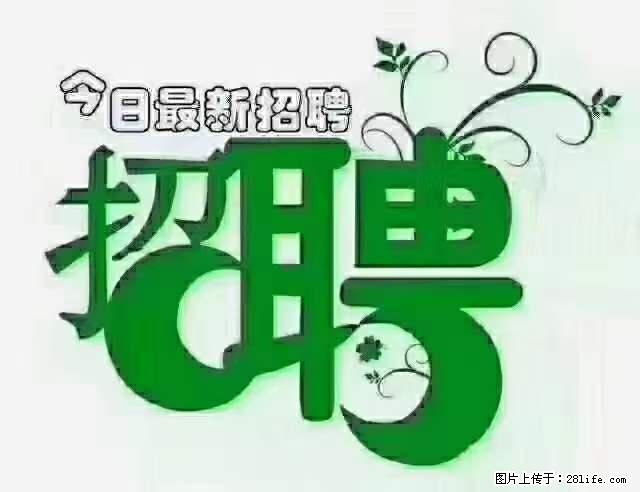 上海青浦区招仓管 - 职场交流 - 巢湖生活社区 - 巢湖28生活网 ch.28life.net