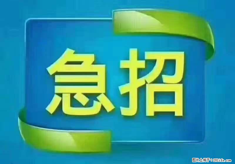 招出纳8000元/月，无证可以，要有相关经验，上海五险一金，包住，包工作餐，做六休一。 - 职场交流 - 巢湖生活社区 - 巢湖28生活网 ch.28life.net