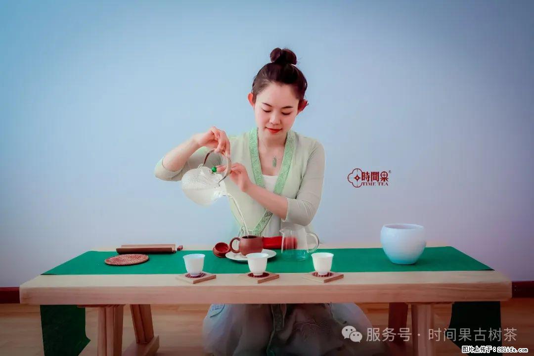 时间果百年古树龙珠普洱生茶 - 购物交流 - 巢湖生活社区 - 巢湖28生活网 ch.28life.net