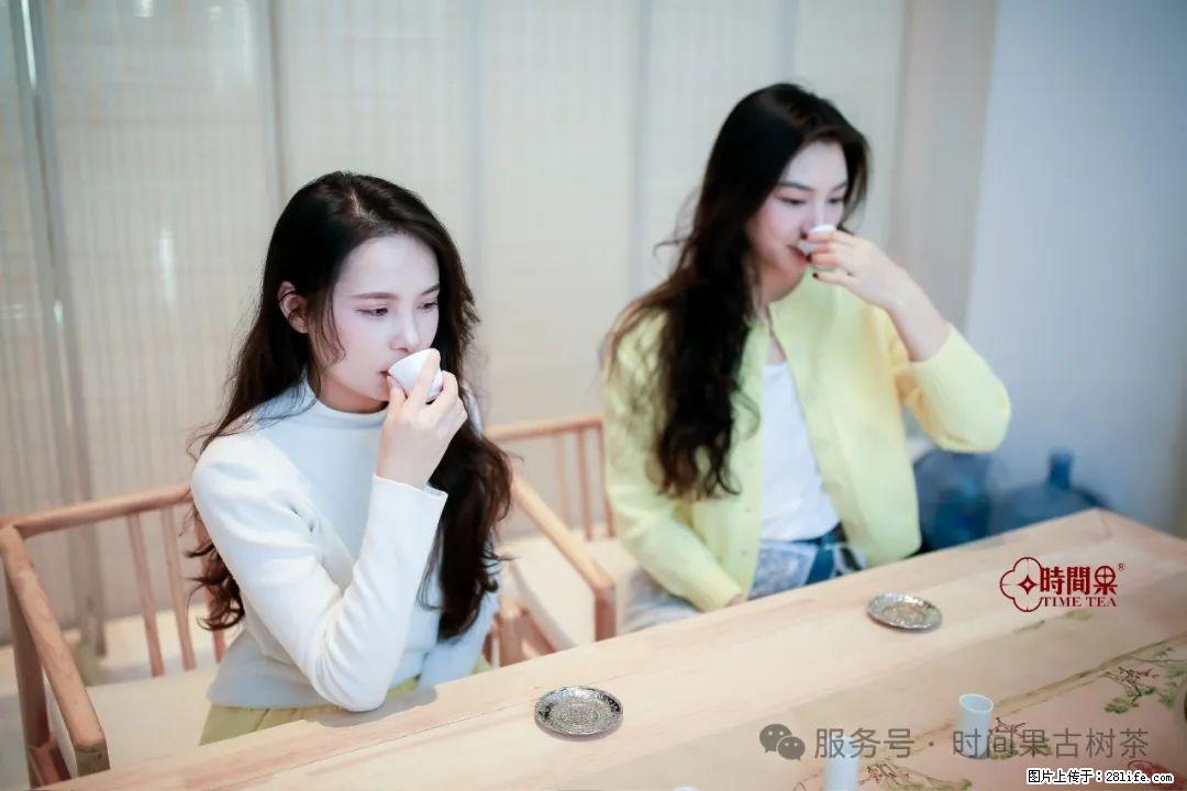 时间果百年古树龙珠普洱生茶 - 购物交流 - 巢湖生活社区 - 巢湖28生活网 ch.28life.net