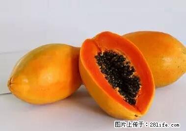 晕车、脚气、牙齿变黄、皮肤粗糙？学会这些三分钟搞定！ - 巢湖生活资讯 - 巢湖28生活网 ch.28life.net