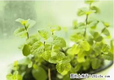 晕车、脚气、牙齿变黄、皮肤粗糙？学会这些三分钟搞定！ - 巢湖生活资讯 - 巢湖28生活网 ch.28life.net