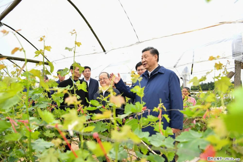 习近平赴广西考察调研 - 巢湖生活资讯 - 巢湖28生活网 ch.28life.net