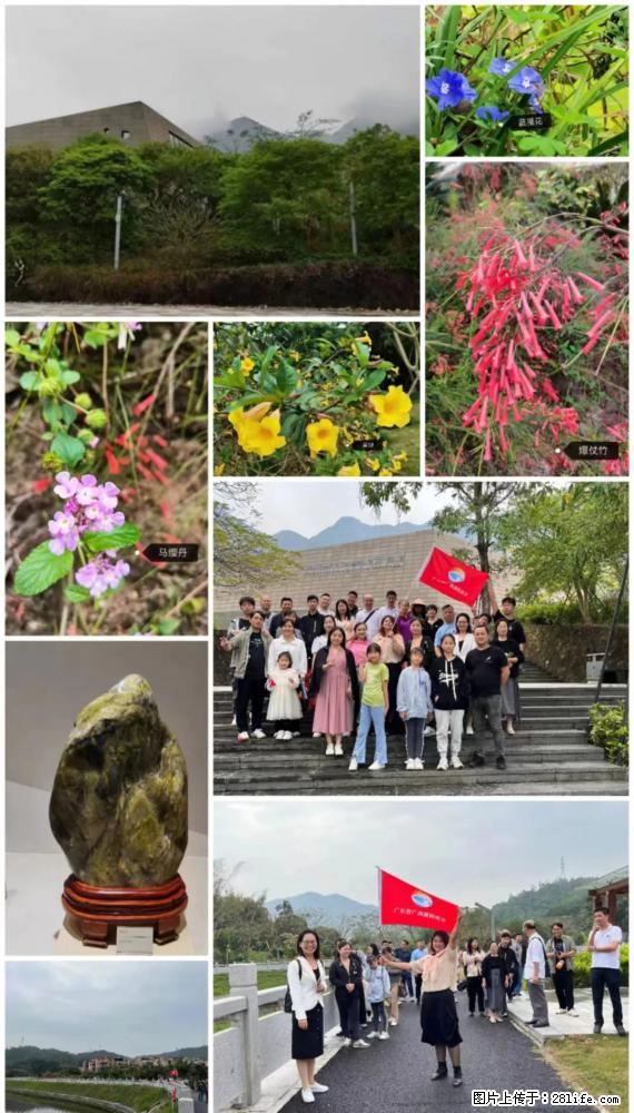 “粤灌文化 美好生活”油茶文化主题活动在广东深圳成功举办 - 巢湖生活资讯 - 巢湖28生活网 ch.28life.net