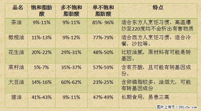 揭秘茶油的5大核心营养成分！被称为人体健康的“守护盾”！ - 巢湖生活资讯 - 巢湖28生活网 ch.28life.net