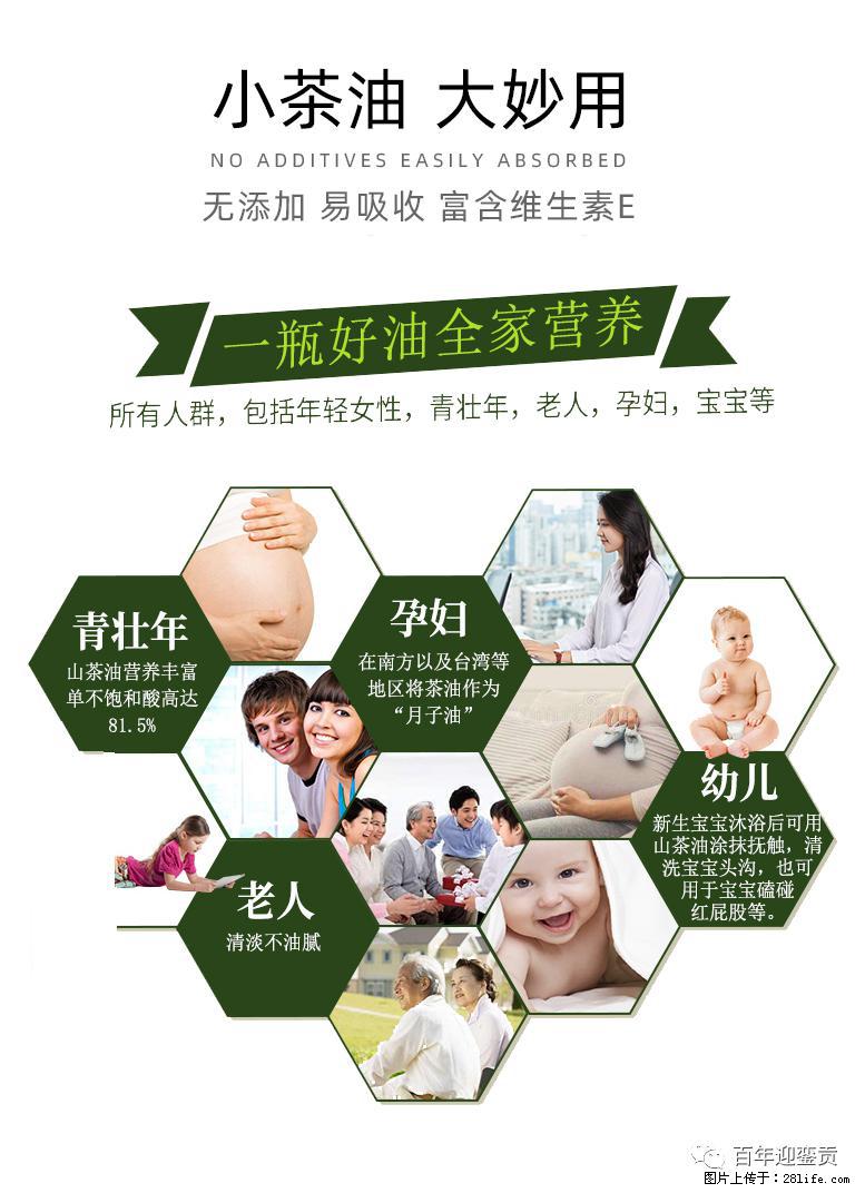 世界没有真相，只有认知，最好的食用油是中国的山茶油！ - 巢湖生活资讯 - 巢湖28生活网 ch.28life.net