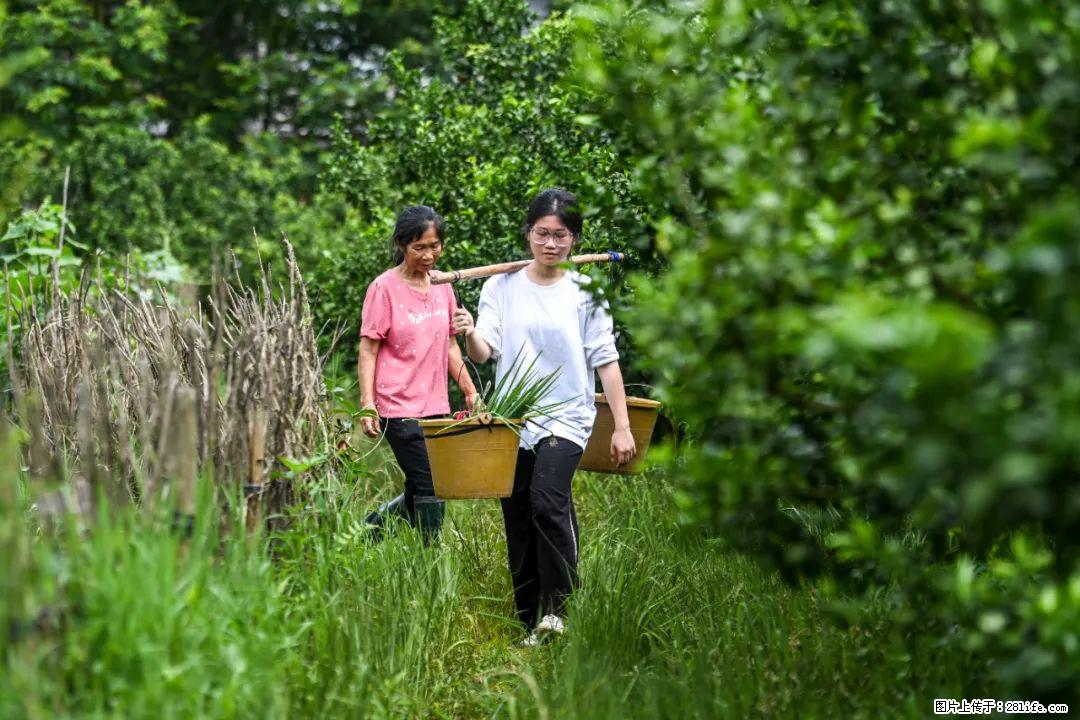 全网追的“扁担女孩”，找了一份暑假工，时薪12元 - 巢湖生活资讯 - 巢湖28生活网 ch.28life.net