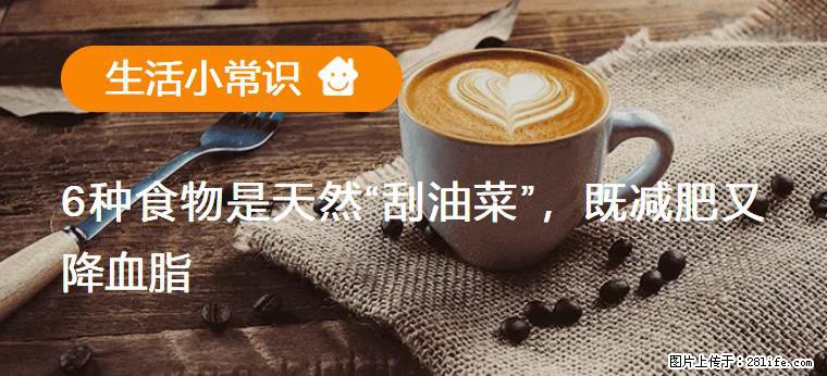 【生活小常识】6种食物是天然“刮油菜”，既减肥又降血脂 - 巢湖生活资讯 - 巢湖28生活网 ch.28life.net