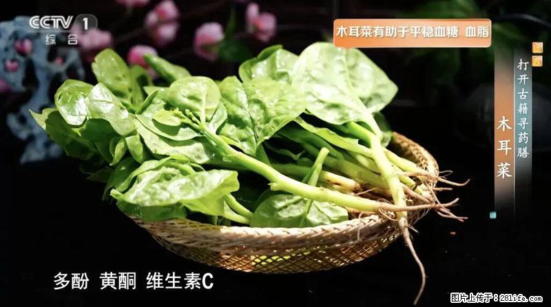 比牛奶补钙还厉害！凉血解毒、稳血糖...这菜冬天必吃，很多人却当草 - 巢湖生活资讯 - 巢湖28生活网 ch.28life.net
