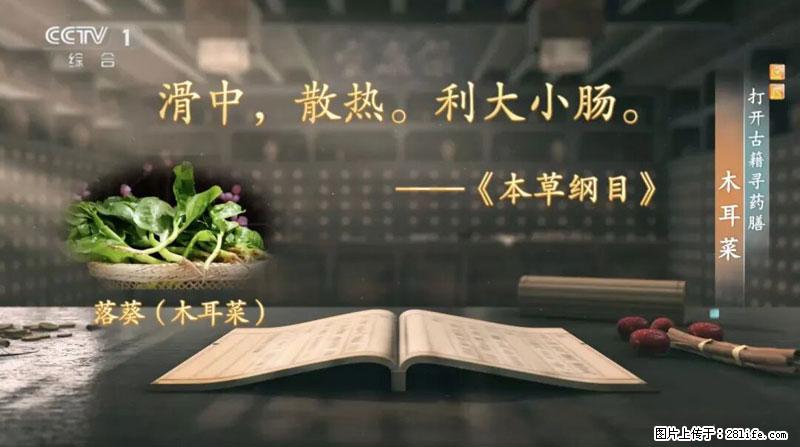 比牛奶补钙还厉害！凉血解毒、稳血糖...这菜冬天必吃，很多人却当草 - 巢湖生活资讯 - 巢湖28生活网 ch.28life.net