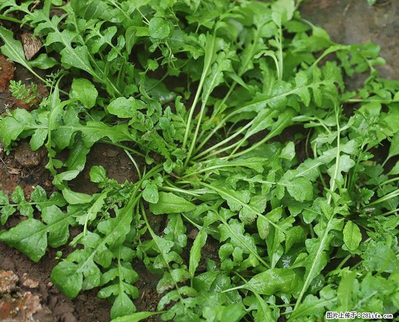 这些蔬菜是“天然钙片”，这6种被医生重点推荐 - 巢湖生活资讯 - 巢湖28生活网 ch.28life.net
