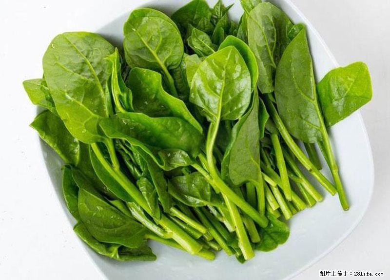 这些蔬菜是“天然钙片”，这6种被医生重点推荐 - 巢湖生活资讯 - 巢湖28生活网 ch.28life.net